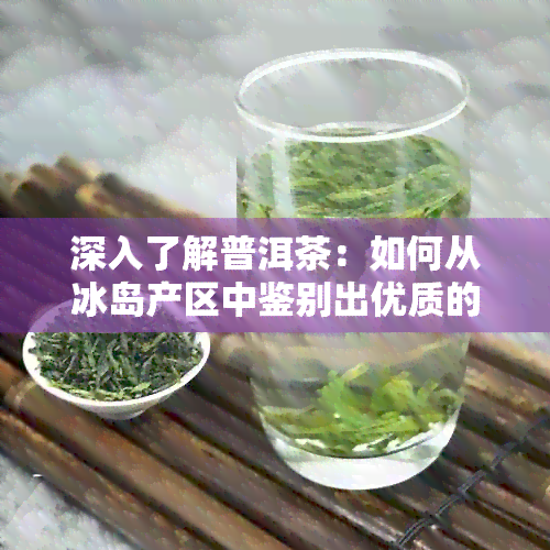 深入了解普洱茶：如何从冰岛产区中鉴别出优质的茶叶