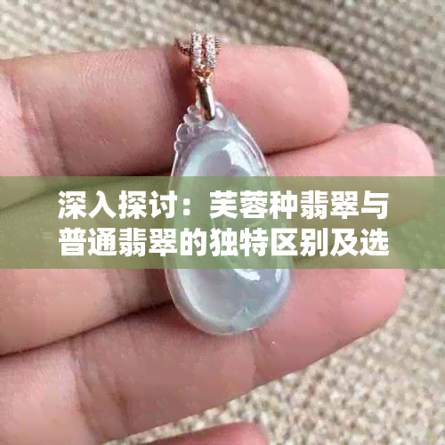 深入探讨：芙蓉种翡翠与普通翡翠的独特区别及选购技巧