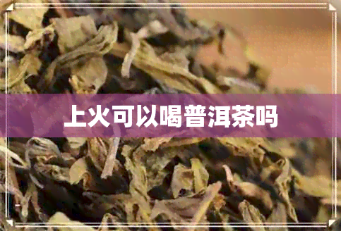 上火可以喝普洱茶吗