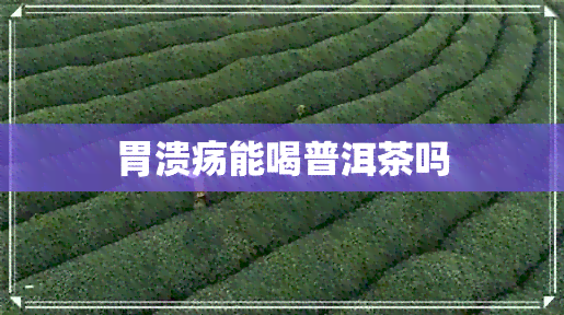 胃溃疡能喝普洱茶吗