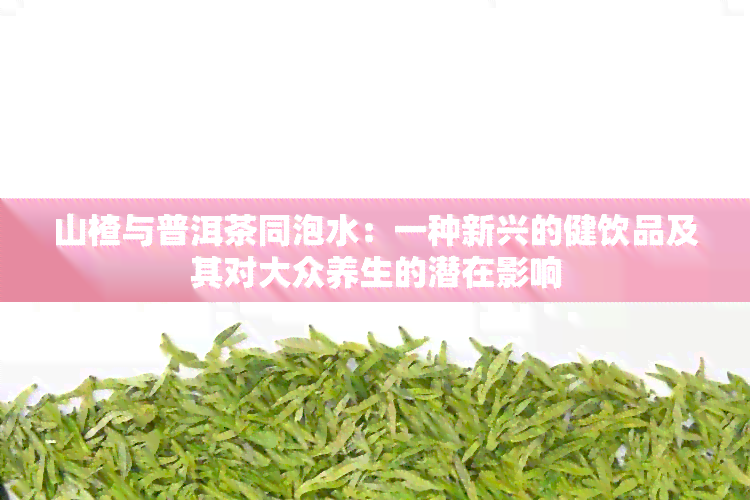 山楂与普洱茶同泡水：一种新兴的健饮品及其对大众养生的潜在影响