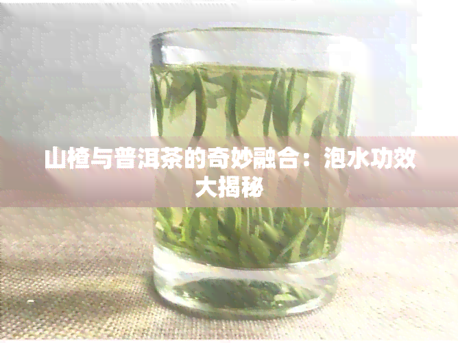 山楂与普洱茶的奇妙融合：泡水功效大揭秘