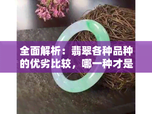 全面解析：翡翠各种品种的优劣比较，哪一种才是更优质选择？