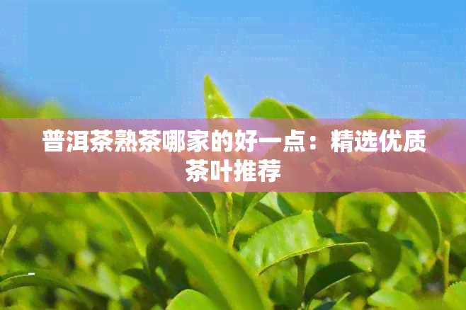 普洱茶熟茶哪家的好一点：精选优质茶叶推荐