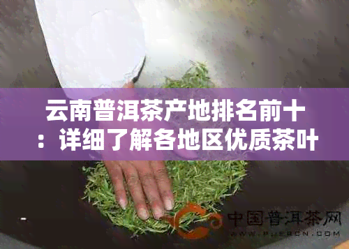 云南普洱茶产地排名前十：详细了解各地区优质茶叶的特点与品鉴方法