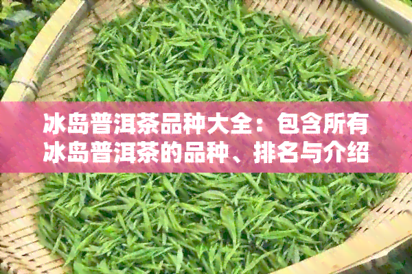 冰岛普洱茶品种大全：包含所有冰岛普洱茶的品种、排名与介绍