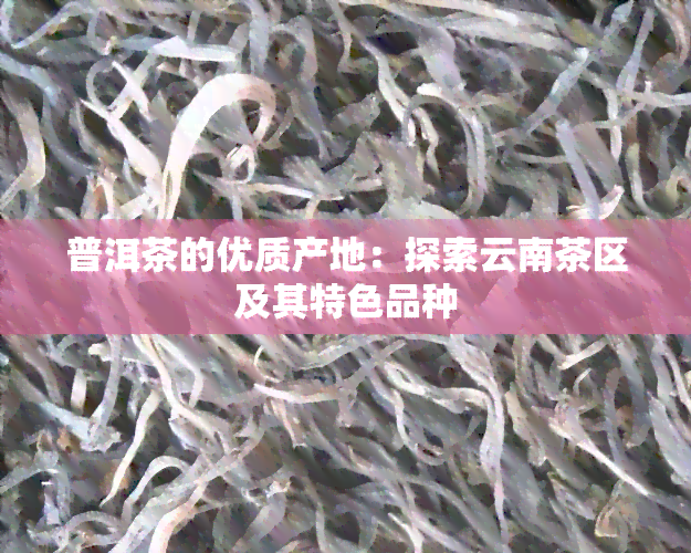 普洱茶的优质产地：探索云南茶区及其特色品种