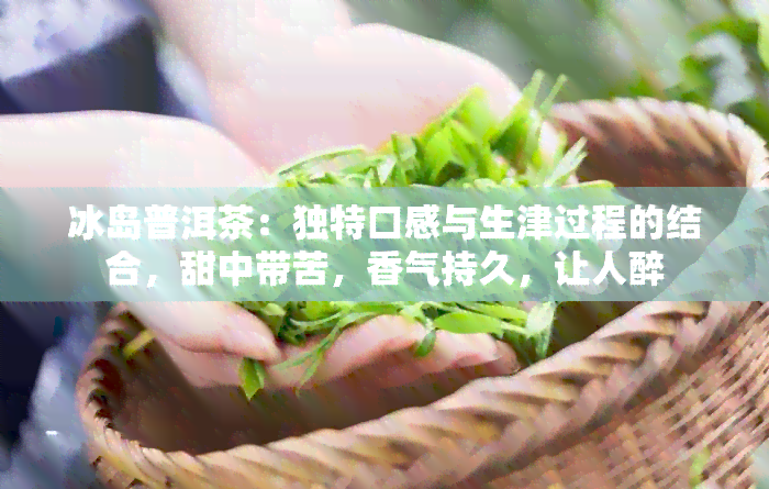 冰岛普洱茶：独特口感与生津过程的结合，甜中带苦，香气持久，让人醉