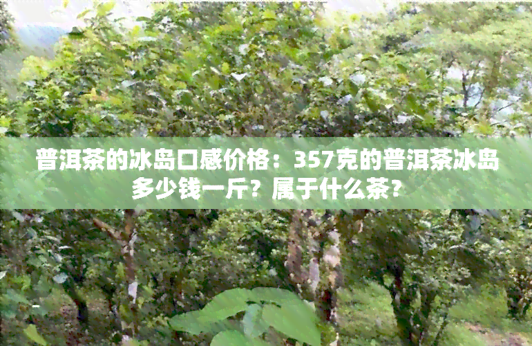 普洱茶的冰岛口感价格：357克的普洱茶冰岛多少钱一斤？属于什么茶？