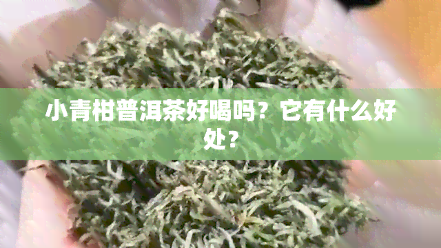 小青柑普洱茶好喝吗？它有什么好处？