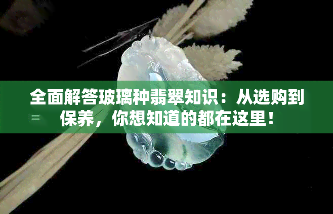 全面解答玻璃种翡翠知识：从选购到保养，你想知道的都在这里！