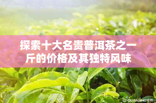 探索十大名贵普洱茶之一斤的价格及其独特风味