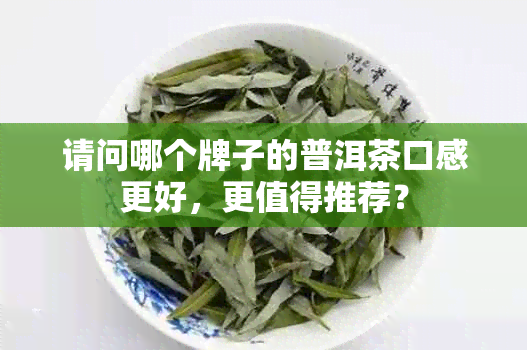 请问哪个牌子的普洱茶口感更好，更值得推荐？