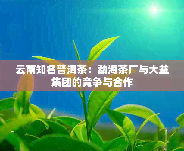 云南知名普洱茶：勐海茶厂与大益集团的竞争与合作