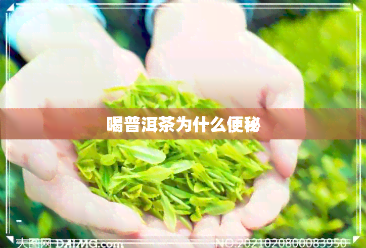 喝普洱茶为什么便秘