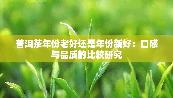 普洱茶年份老好还是年份新好：口感与品质的比较研究