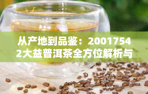 从产地到品鉴：20017542大益普洱茶全方位解析与品鉴指南