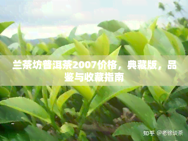 兰茶坊普洱茶2007价格，典藏版，品鉴与收藏指南