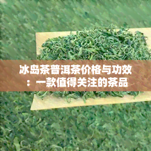 冰岛茶普洱茶价格与功效：一款值得关注的茶品