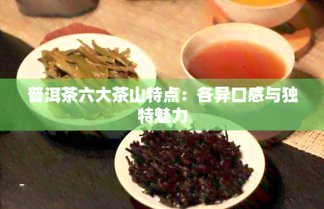 普洱茶六大茶山特点：各异口感与独特魅力