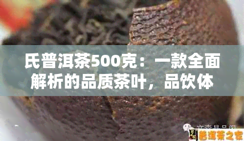 氏普洱茶500克：一款全面解析的品质茶叶，品饮体验与冲泡方法详解