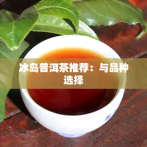 冰岛普洱茶推荐：与品种选择