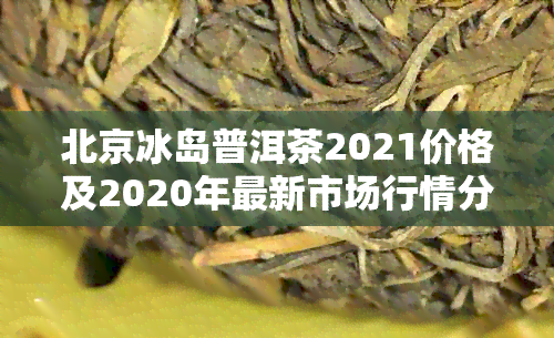 北京冰岛普洱茶2021价格及2020年最新市场行情分析