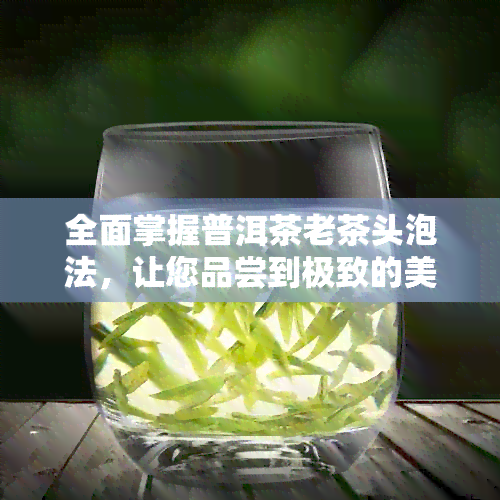 全面掌握普洱茶老茶头泡法，让您品尝到极致的美味与香气