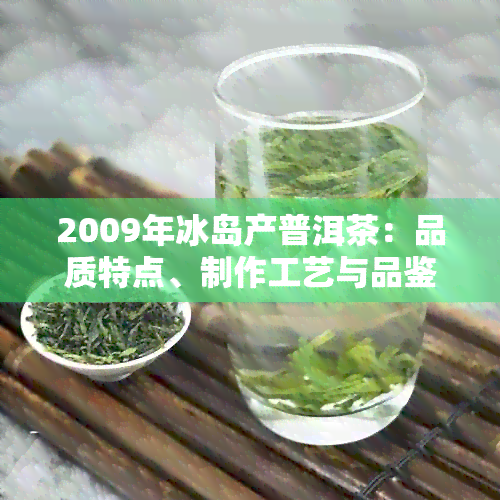 2009年冰岛产普洱茶：品质特点、制作工艺与品鉴方法的全面解析