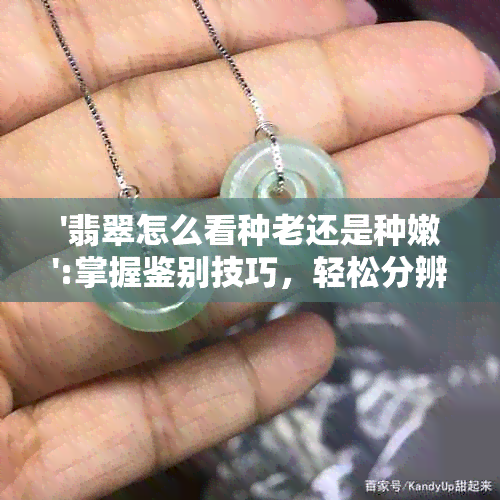 '翡翠怎么看种老还是种嫩':掌握鉴别技巧，轻松分辨翡翠新旧！