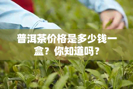 普洱茶价格是多少钱一盒？你知道吗？