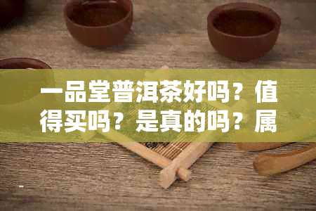 一品堂普洱茶好吗？值得买吗？是真的吗？属于几线？