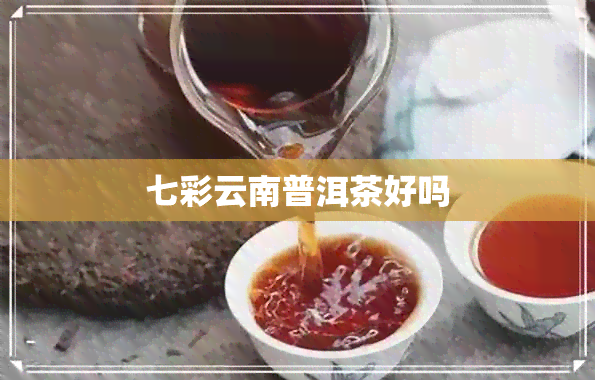 七彩云南普洱茶好吗