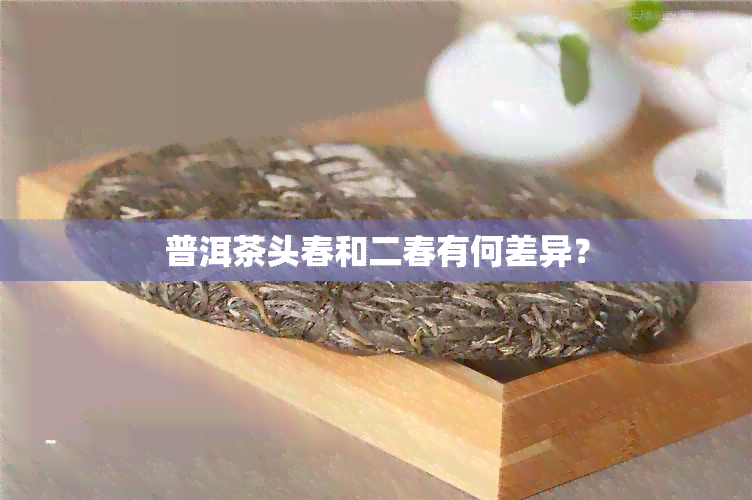 普洱茶头春和二春有何差异？