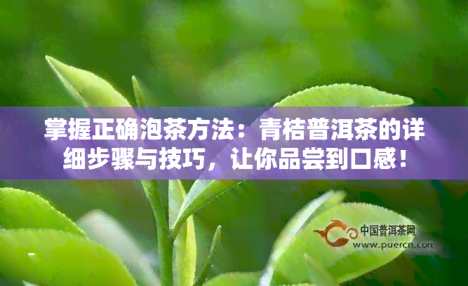 掌握正确泡茶方法：青桔普洱茶的详细步骤与技巧，让你品尝到口感！