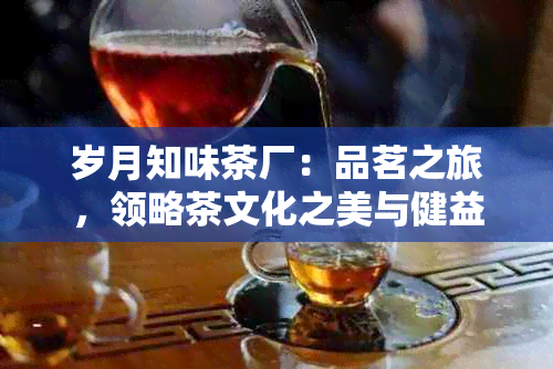 岁月知味茶厂：品茗之旅，领略茶文化之美与健益处