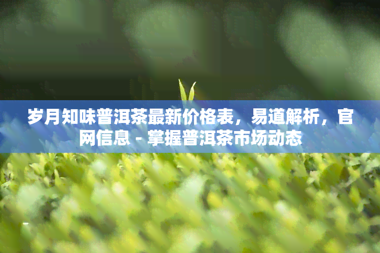 岁月知味普洱茶最新价格表，易道解析，官网信息 - 掌握普洱茶市场动态