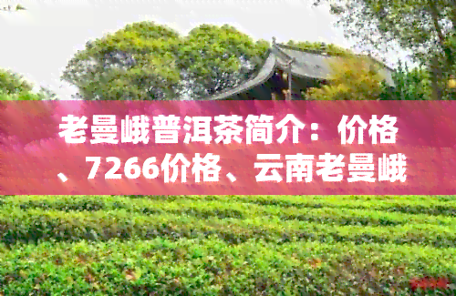 老曼峨普洱茶简介：价格、7266价格、云南老曼峨普洱茶2017价格