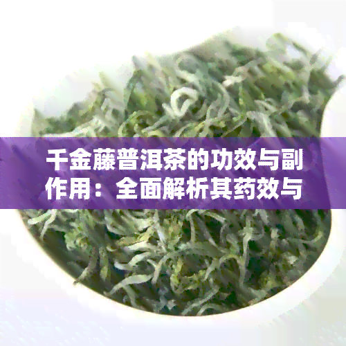 千金藤普洱茶的功效与副作用：全面解析其效与潜在风险，以及注意事项