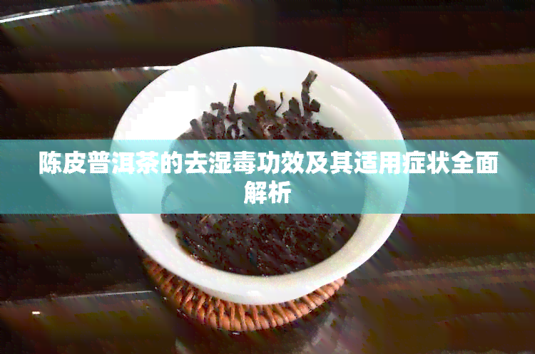 陈皮普洱茶的去湿功效及其适用症状全面解析