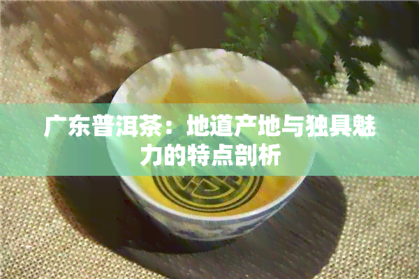 广东普洱茶：地道产地与独具魅力的特点剖析