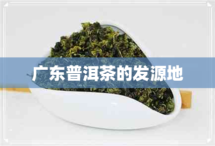 广东普洱茶的发源地