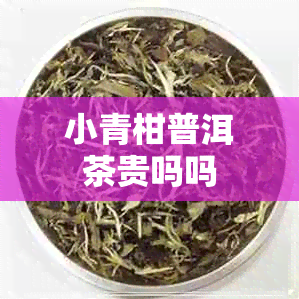 小青柑普洱茶贵吗吗