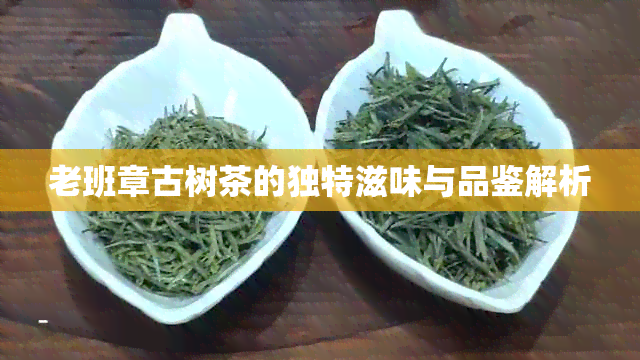 老班章古树茶的独特滋味与品鉴解析