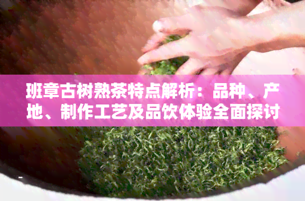 班章古树熟茶特点解析：品种、产地、制作工艺及品饮体验全面探讨