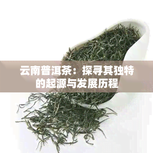 云南普洱茶：探寻其独特的起源与发展历程