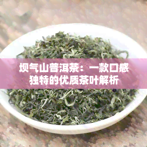 坝气山普洱茶：一款口感独特的优质茶叶解析