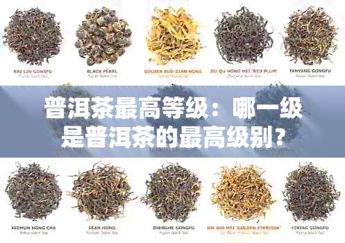 普洱茶更高等级：哪一级是普洱茶的更高级别？