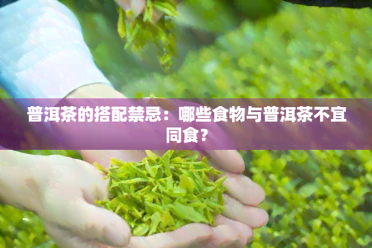 普洱茶的搭配禁忌：哪些食物与普洱茶不宜同食？