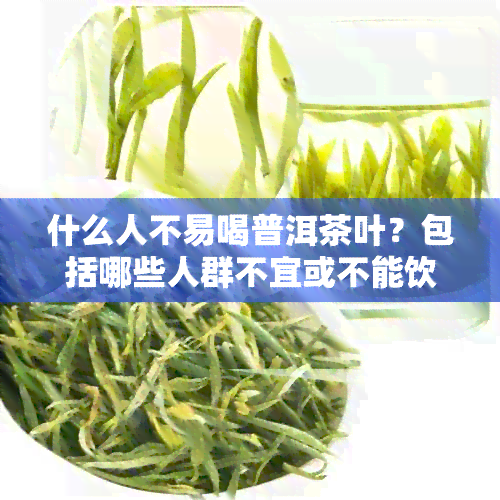 什么人不易喝普洱茶叶？包括哪些人群不宜或不能饮用普洱茶？